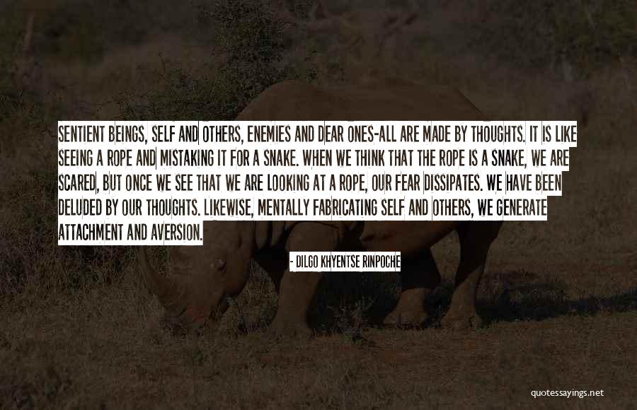 Mauras Choir Quotes By Dilgo Khyentse Rinpoche Mauras Choir Quotes By Dilgo Khyentse Rinpoche