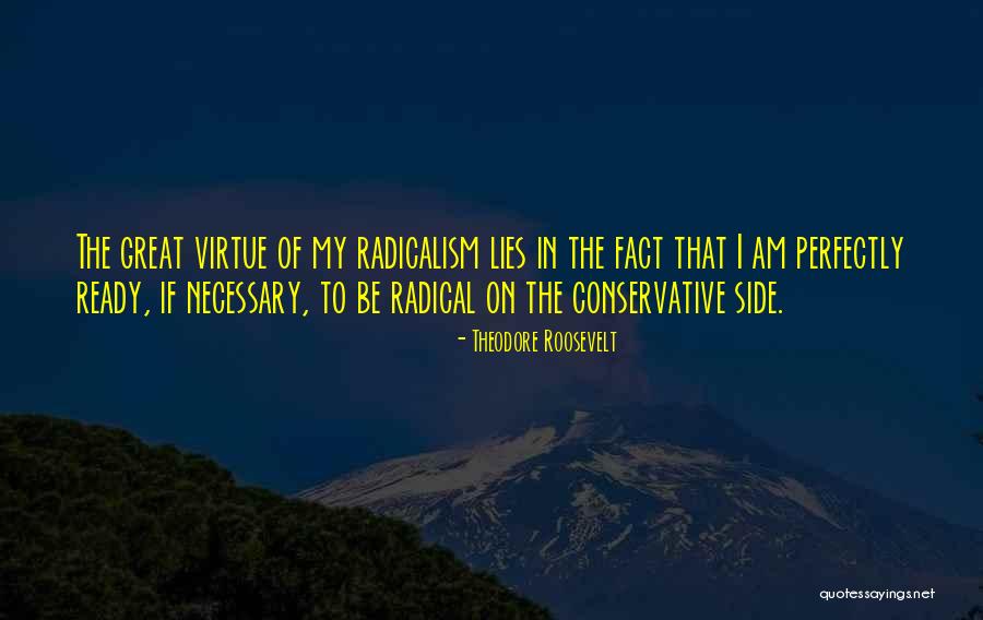 Maureens Designs Quotes By Theodore Roosevelt Maureens Designs Quotes By Theodore Roosevelt