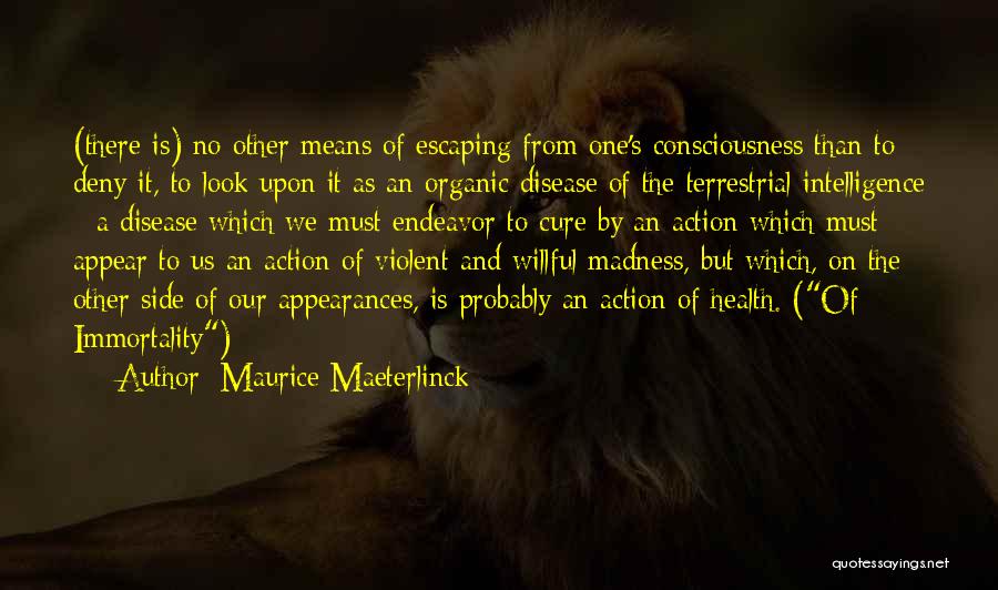 Maurice Maeterlinck Quotes 337163