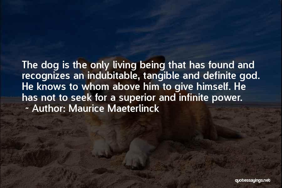 Maurice Maeterlinck Quotes 538440