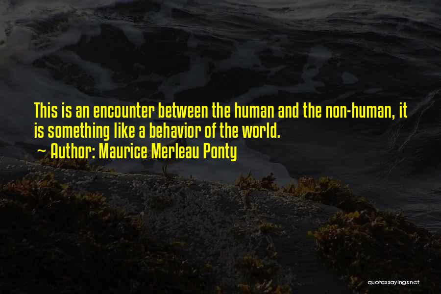 Maurice Merleau Ponty Quotes 341802
