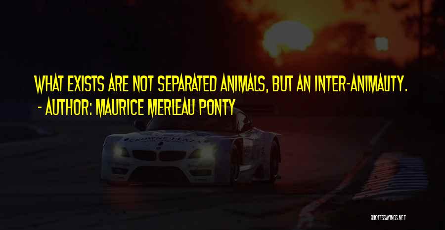 Maurice Merleau Ponty Quotes 925474