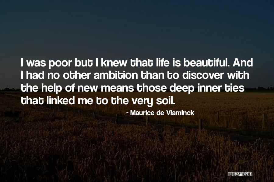 Maurice Vlaminck Quotes By Maurice De Vlaminck