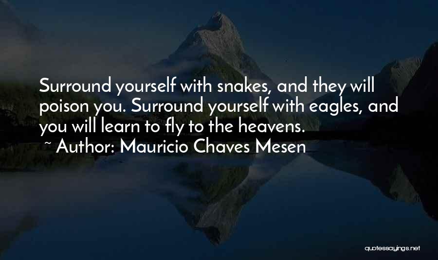 Mauricio Chaves Mesen Quotes 2212805