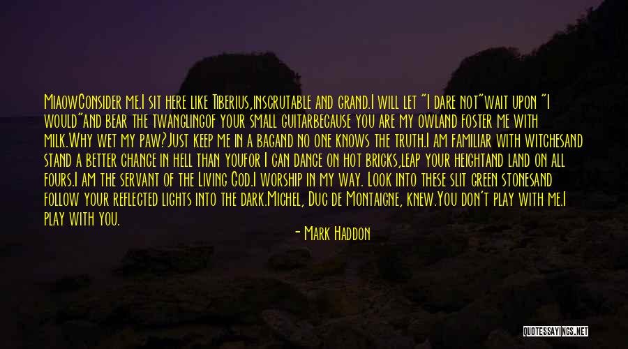 Mauritians Islands Quotes By Mark Haddon Mauritians Islands Quotes By Mark Haddon