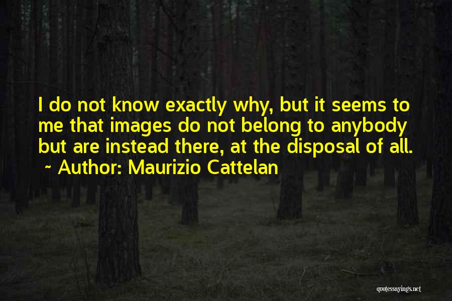 Maurizio Cattelan Quotes 1294957