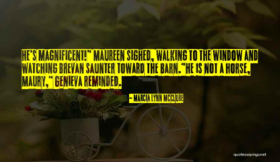 Maury Quotes By Marcia Lynn McClure Maury Quotes By Marcia Lynn McClure