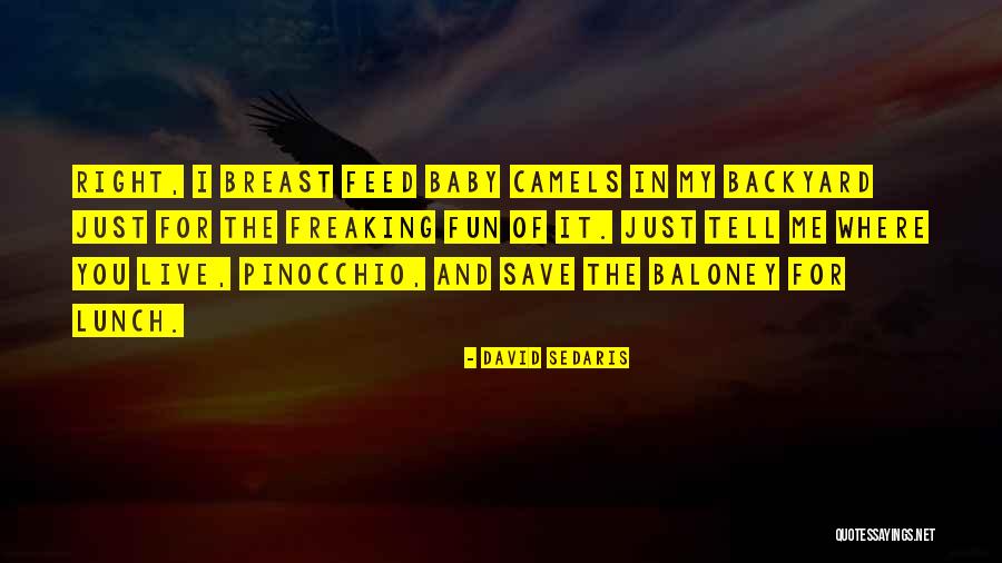 Mausner Rvc Quotes By David Sedaris Mausner Rvc Quotes By David Sedaris