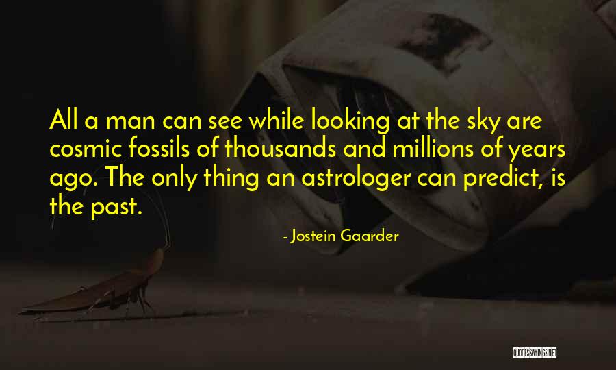 Mauvin Pickering Quotes By Jostein Gaarder