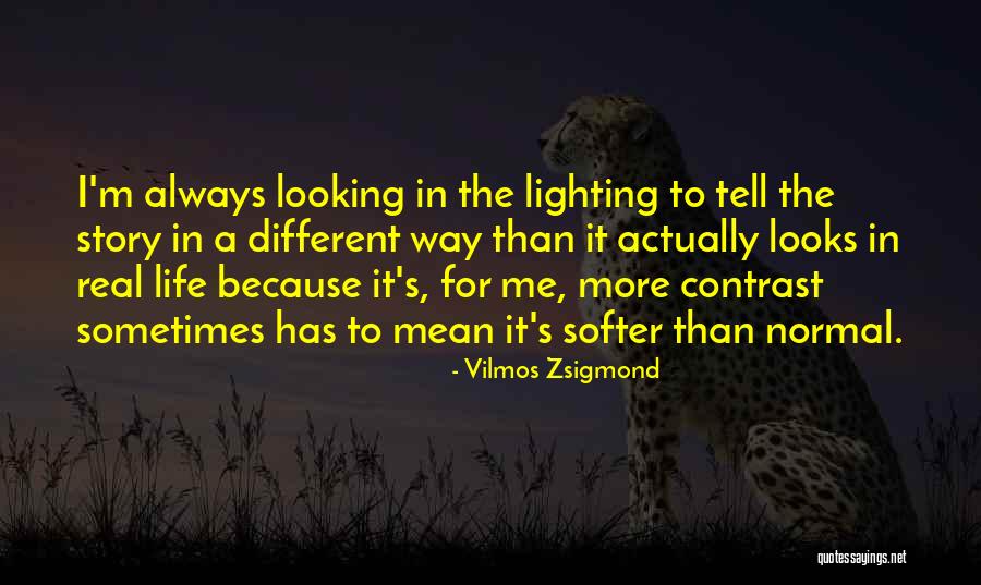 Mavanimes Quotes By Vilmos Zsigmond Mavanimes Quotes By Vilmos Zsigmond