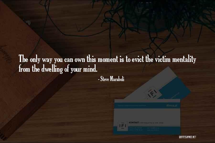 Maventic Company Quotes By Steve Maraboli Maventic Company Quotes By Steve Maraboli