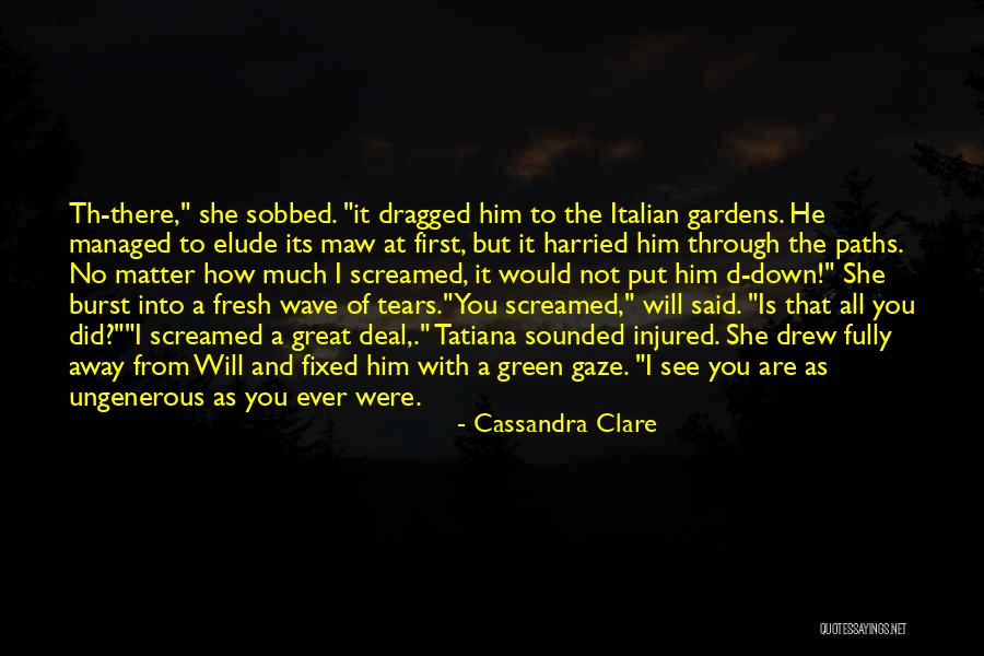 Maw Maw Quotes By Cassandra Clare