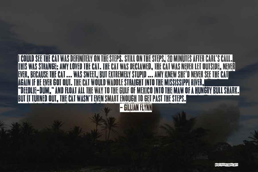 Maw Maw Quotes By Gillian Flynn