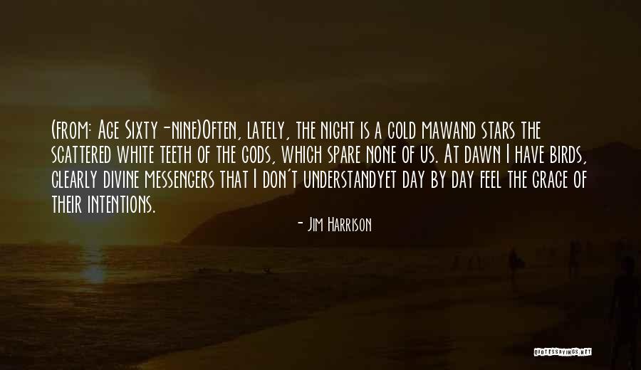 Maw Maw Quotes By Jim Harrison