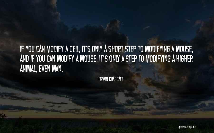 Mawiyah Bomani Quotes By Erwin Chargaff Mawiyah Bomani Quotes By Erwin Chargaff