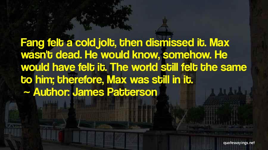 Max And Fang Quotes By James Patterson