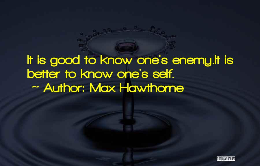 Max Hawthorne Quotes 90815