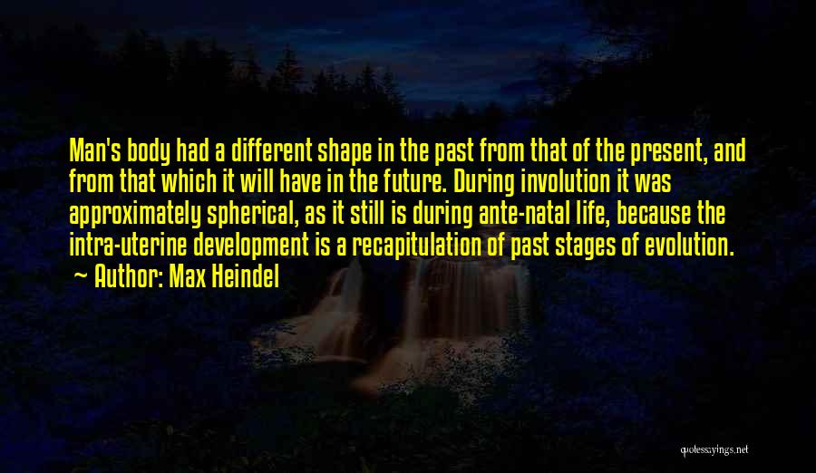 Max Heindel Quotes 1145362