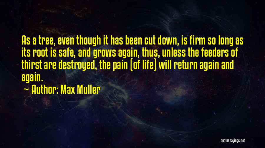 Max Muller Quotes 1082393