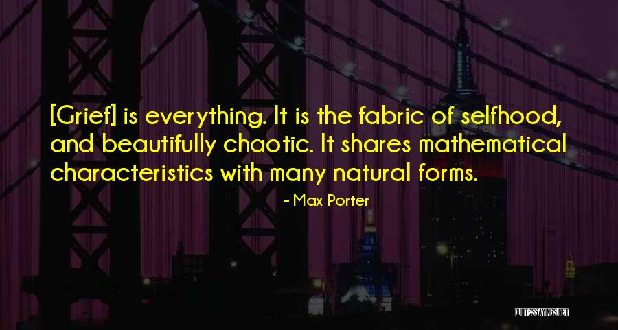 Max Porter Quotes 1497500