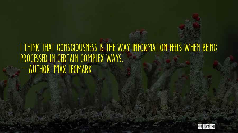 Max Tegmark Quotes 181727