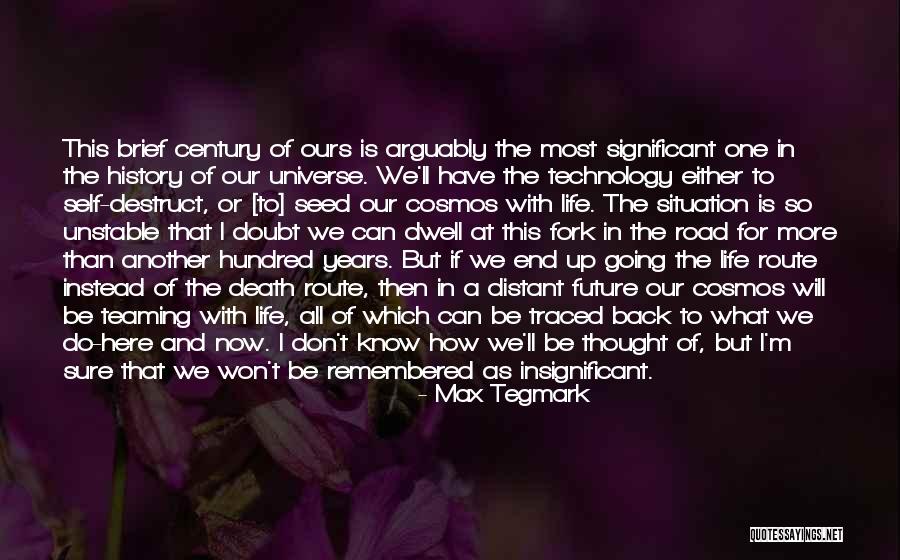 Max Tegmark Quotes 2142704