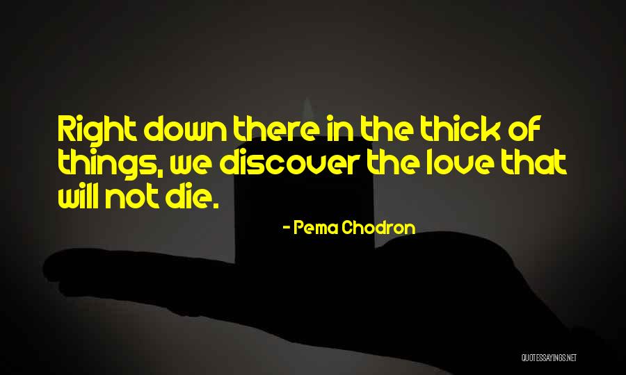 Maxamed Saleebaan Quotes By Pema Chodron Maxamed Saleebaan Quotes By Pema Chodron
