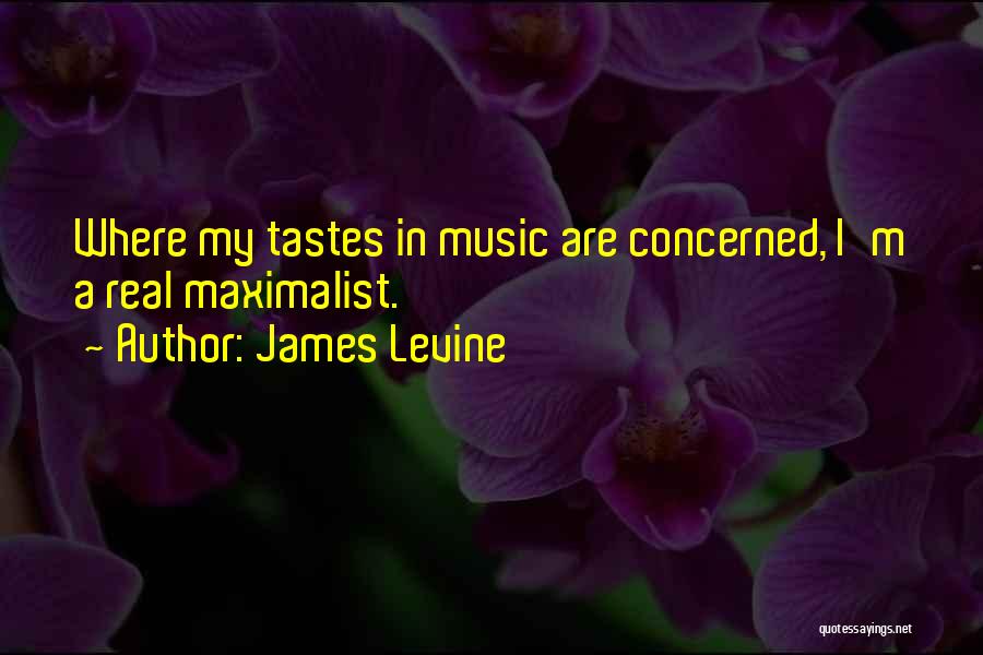 Maximalist Quotes By James Levine