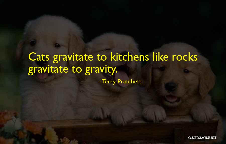 Maximes Menu Quotes By Terry Pratchett Maximes Menu Quotes By Terry Pratchett