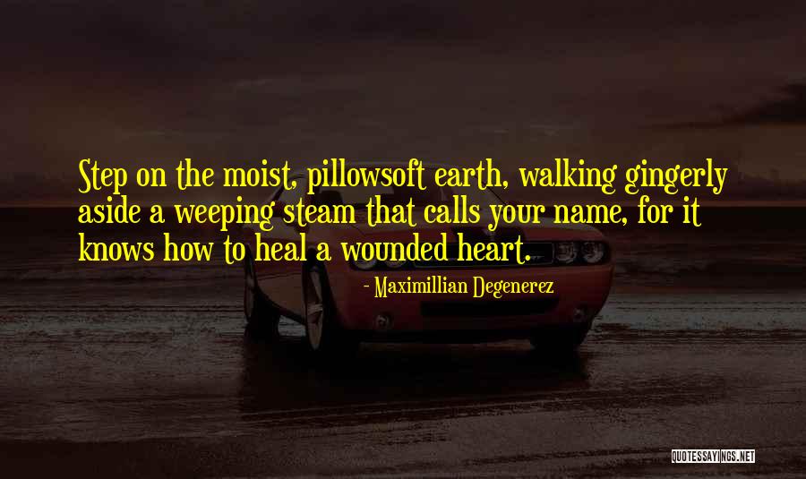 Maximillian Degenerez Quotes 631606 Maximillian Degenerez Quotes 631606