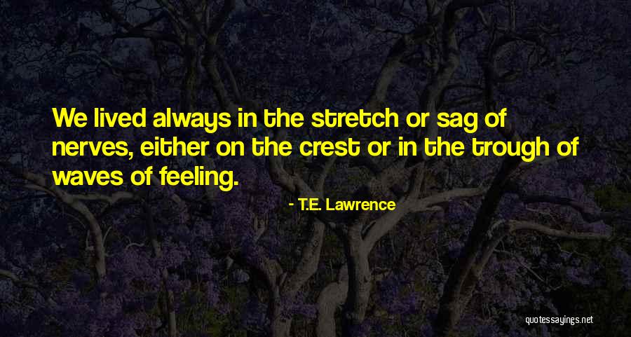 Maximization Calculator Quotes By T.E. Lawrence Maximization Calculator Quotes By T.E. Lawrence