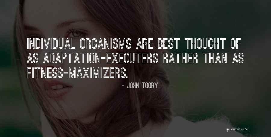 Maximizers Versus Quotes By John Tooby Maximizers Versus Quotes By John Tooby