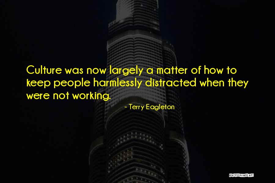 Maximizing Your Resources Quotes By Terry Eagleton Maximizing Your Resources Quotes By Terry Eagleton
