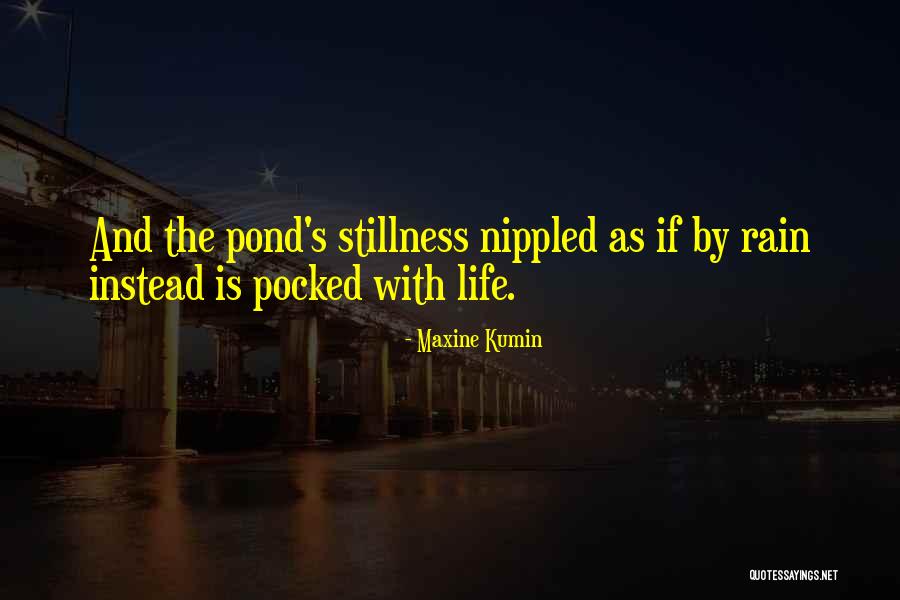 Maxine Kumin Quotes 1532101 Maxine Kumin Quotes 1532101