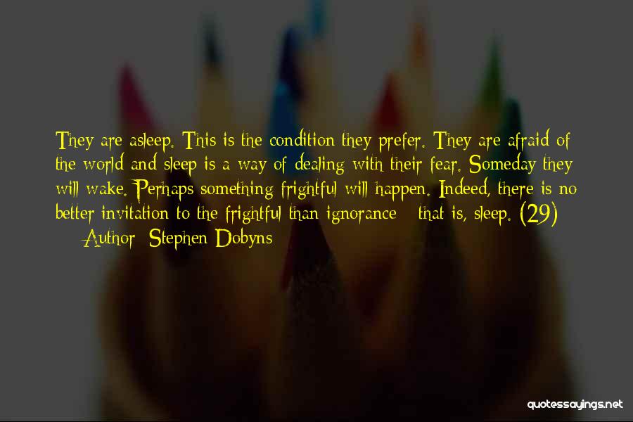 May 29 Quotes By Stephen Dobyns