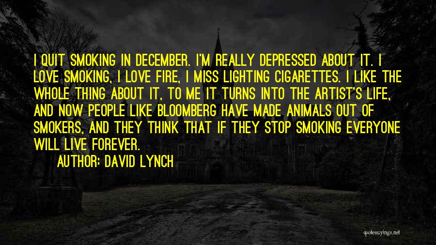 May December Love Quotes By David Lynch