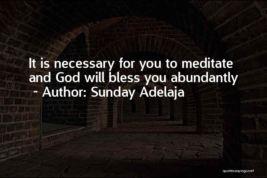 May God Bless You Abundantly Quotes By Sunday Adelaja