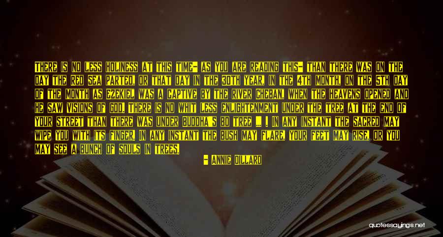 May Month Quotes By Annie Dillard May Month Quotes By Annie Dillard