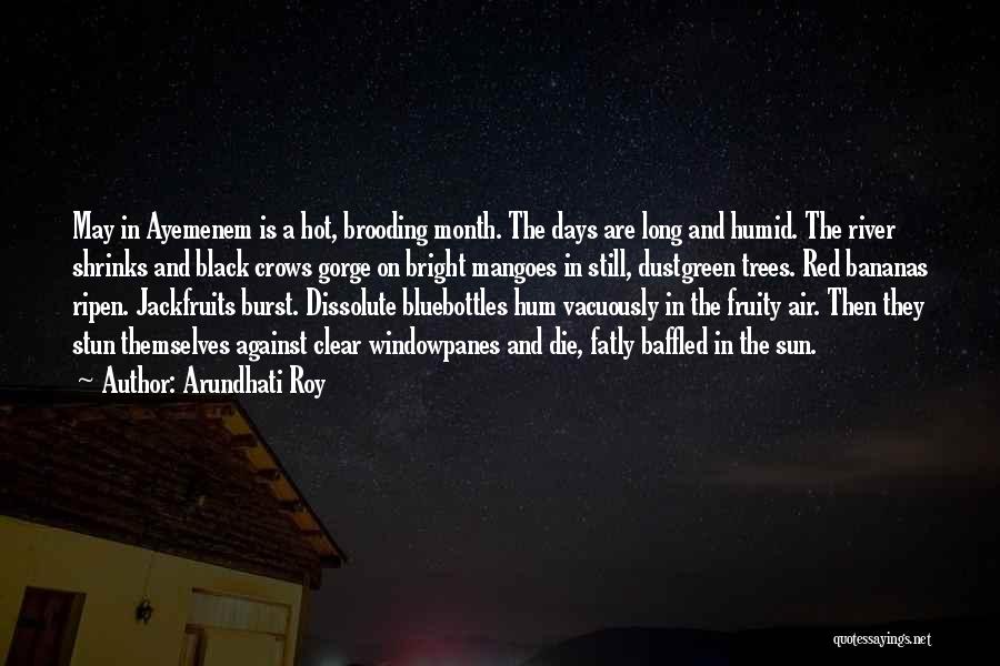 May Month Quotes By Arundhati Roy