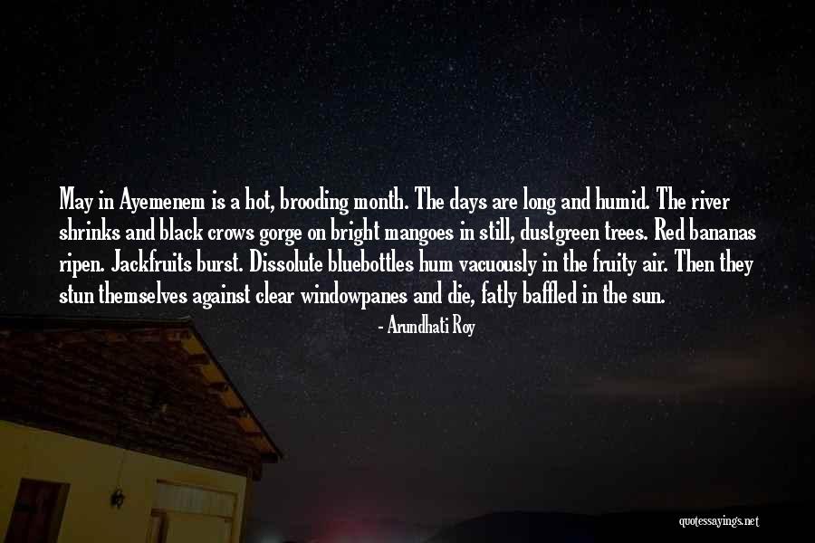 May Month Quotes By Arundhati Roy May Month Quotes By Arundhati Roy