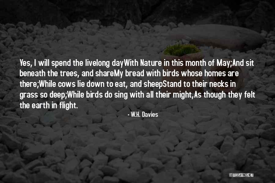 May Month Quotes By W.H. Davies