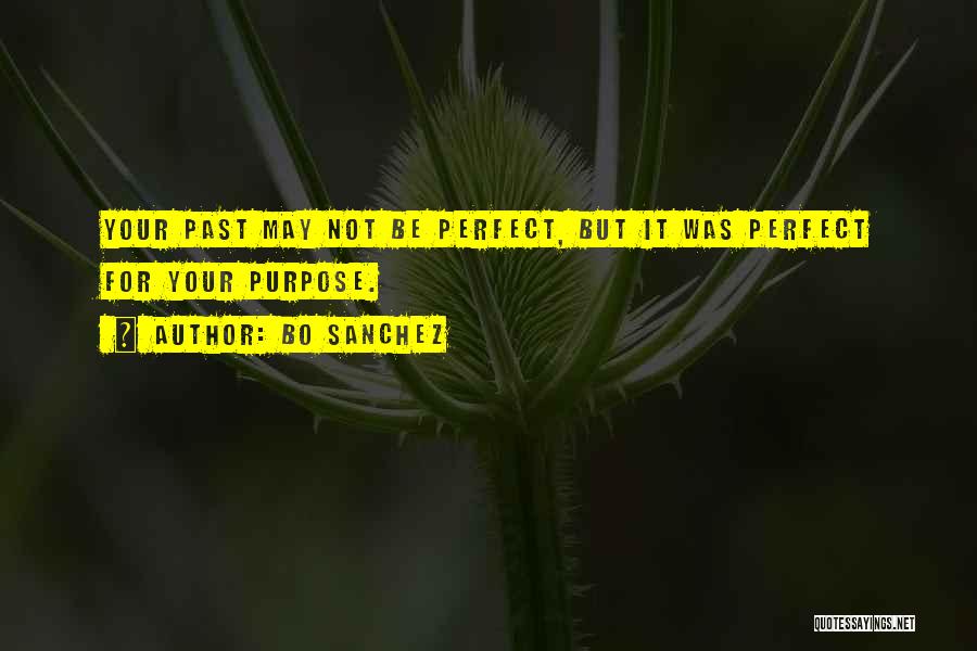 May Not Perfect Quotes By Bo Sanchez