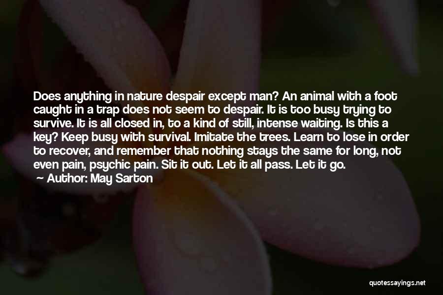 May Sarton Quotes 809180