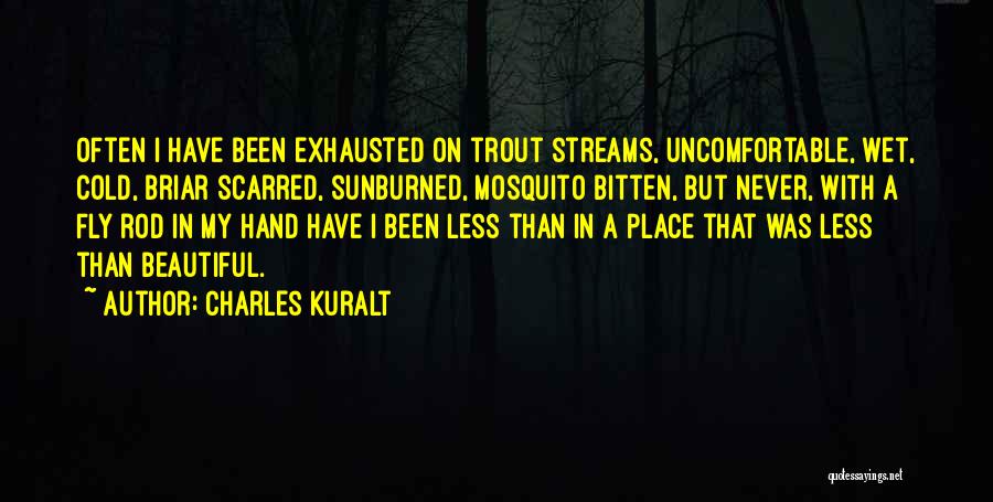 May Sayad Quotes By Charles Kuralt