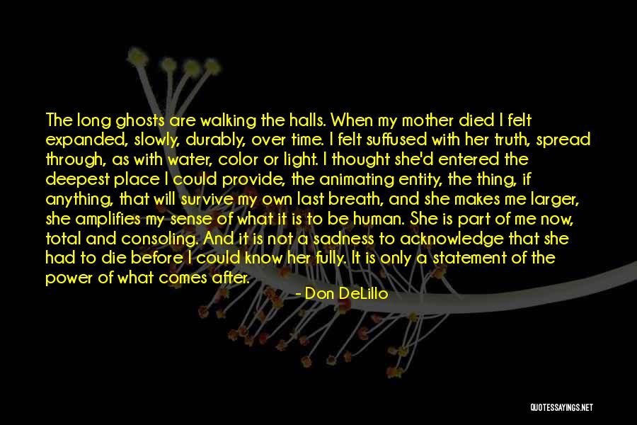 May Sayad Quotes By Don DeLillo May Sayad Quotes By Don DeLillo
