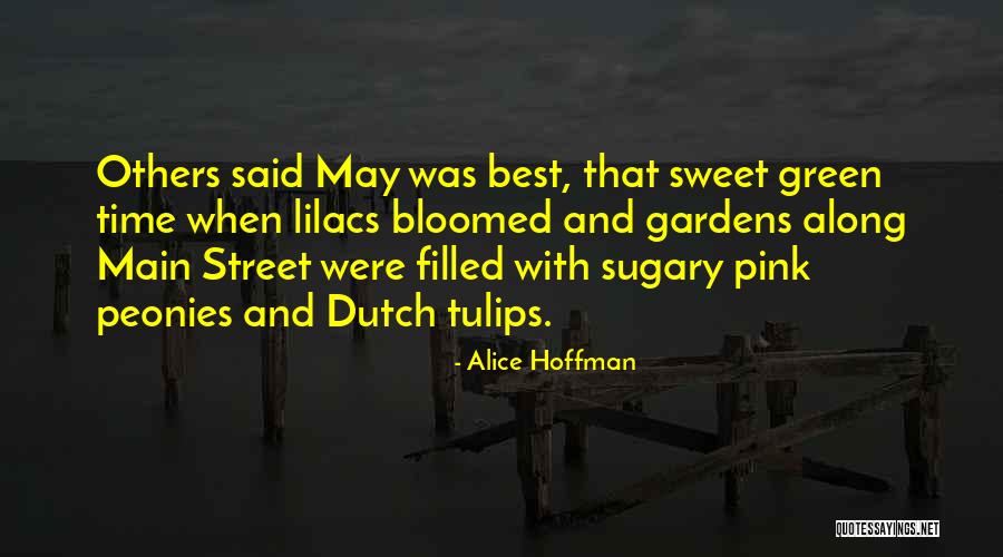 May Street Quotes By Alice Hoffman May Street Quotes By Alice Hoffman
