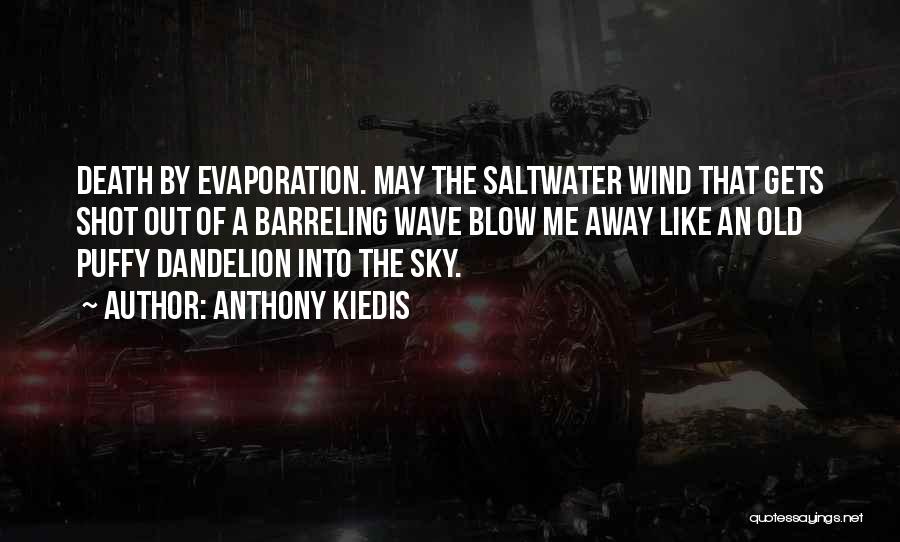 May The Wind Blow Quotes By Anthony Kiedis