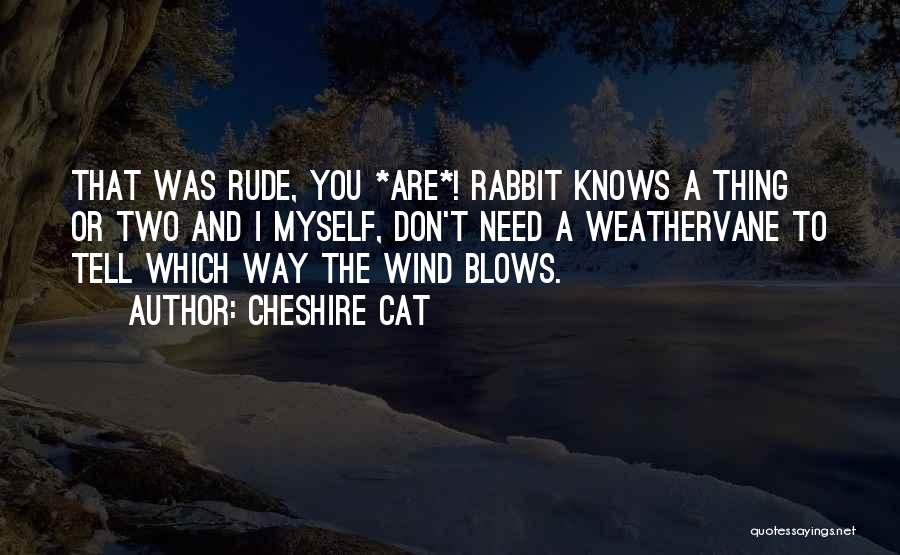 May The Wind Blow Quotes By Cheshire Cat