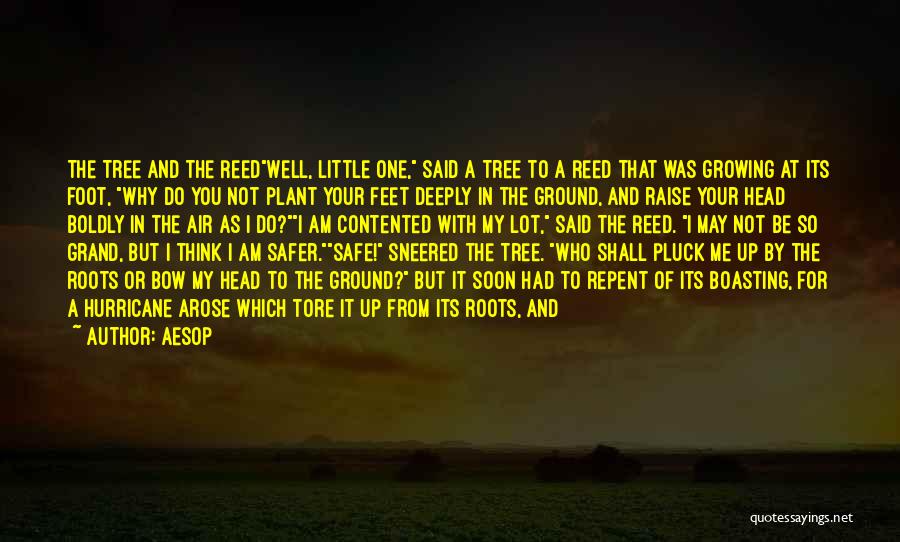 May You Be Safe Quotes By Aesop