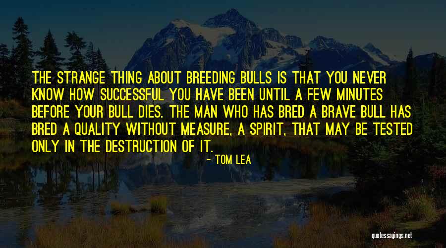 May You Be Successful Quotes By Tom Lea